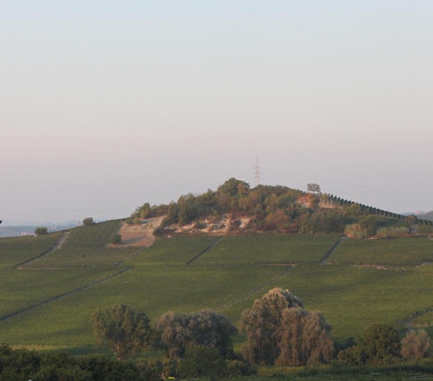 Villa Vecchio Castagnito Luaran gambar